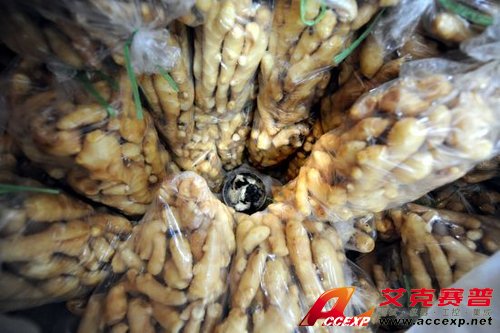 湖北宜昌硫磺毒生姜現(xiàn)場(chǎng)圖片