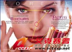 RED500 遙測眼動追蹤系統(tǒng)