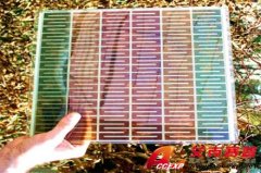 廉價太陽能電池被新西蘭學者發(fā)現(xiàn)